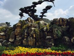 -南通洲际绿博园