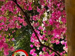 -广州市紫泥堂文化创意园景区