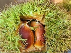 -南海渔村·徐博馆(琶洲店-粤菜养生宴)