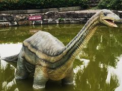 -自贡恐龙博物馆