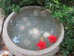 -三亚珠江南田温泉度假区