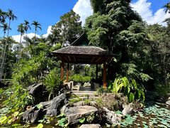 -中国科学院西双版纳热带植物园