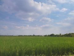 -嘉北郊野公园