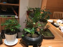 -泉寿司(万科公园店)