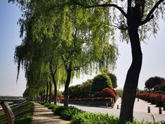 -洨河生态公园
