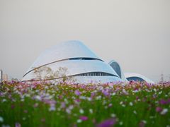 -哈尔滨大剧院