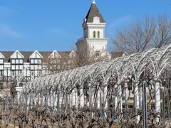 -张裕卡斯特酒庄