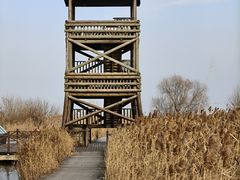 -盐城丹顶鹤湿地生态旅游区