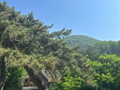 -潭柘寺景区