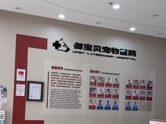 -御宝贝24h宠物医院·转诊中心·CT核磁血透中心(厦门总院)