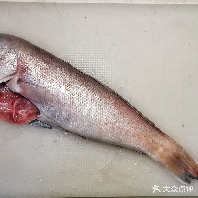 每天一個食譜 青根魚立鱗燒