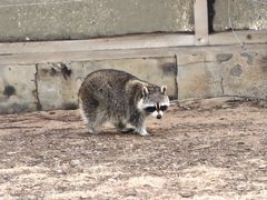 -秦皇岛野生动物园
