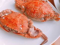 -视界美食自助餐厅·石家庄希尔顿酒店