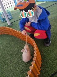 -萌宠亲子动物乐园(槐房万达店)