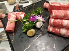 -菌子鲜汤野生菌锅