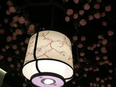 -韵秋荷(宝山龙湖天街店)