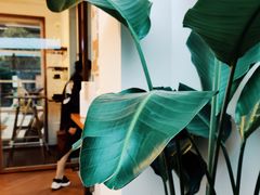 -Line 咖啡(石厦花园店)