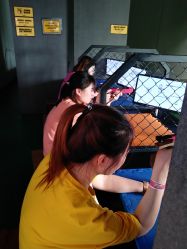 -嗨翻Hi-Fun竞技主题乐园·蹦床团建生日聚会(五棵松华熙店)