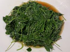 -沪上馨和小馆•海派上海菜(陆家浜路店)