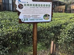-杭州开元森泊度假乐园