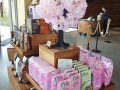 零售区-星巴克(迪士尼小镇店)