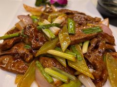 -丁老爷子苏香圆