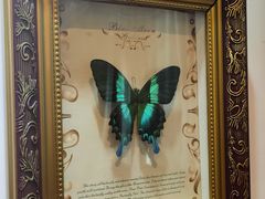 -青岛海尔洲际酒店