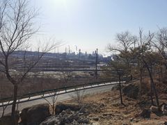 -白水寺森林公园