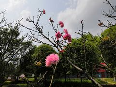 -柳州市动物园