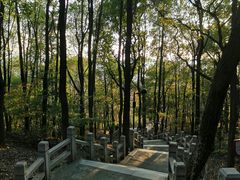 -灵岩山风景区