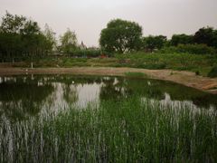 -永定河休闲森林公园