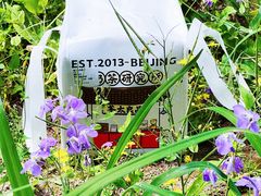 -茶太良品·北京特色茶饮(西站食宝街店)