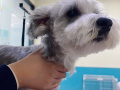 -天宠宠物医院24小时·急重症诊疗中心·全科·腔镜特色(和平分院)