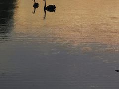 -瑶湖郊野森林公园