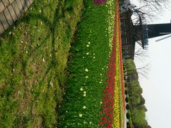android_upload_pic-上海鲜花港