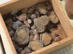 -房山世界地质公园博物馆