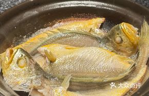 Signature 100-Second Yellow Croaker