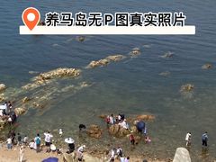 -养马岛旅游度假区
