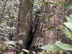 -都江堰普照寺