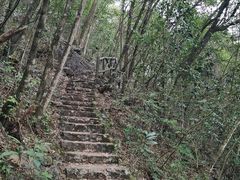 -靖西鹅泉风景区