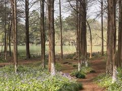 -西溪国家湿地公园