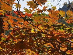 -丹东凤凰山景区