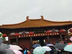-神州牡丹园