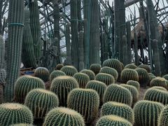 -南山植物园