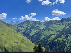 -俭寨大盘芦花土鸡·小公鸡·烧烤新疆菜(云通店)