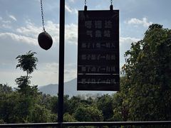 -呀诺达热带雨林