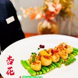 魔都探店💐|杏花又重开 高贵又不贵 💰