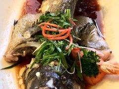翅汤浸老虎斑-湖锦酒楼·旗舰店(三阳总店)