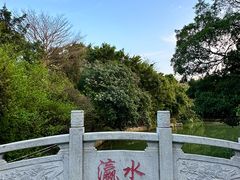 -小洲村