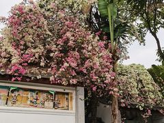 -深圳国际园林花卉博览园